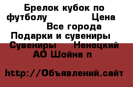 Брелок кубок по футболу Fifa 2018 › Цена ­ 399 - Все города Подарки и сувениры » Сувениры   . Ненецкий АО,Шойна п.